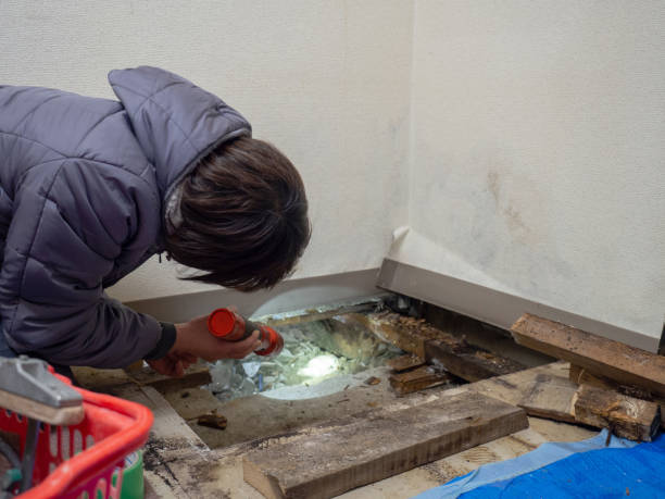 Best Mold Prevention Services  in Patterson Tract, CA