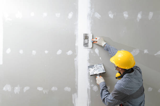 Best Mold Damage Restoration  in Patterson Tract, CA